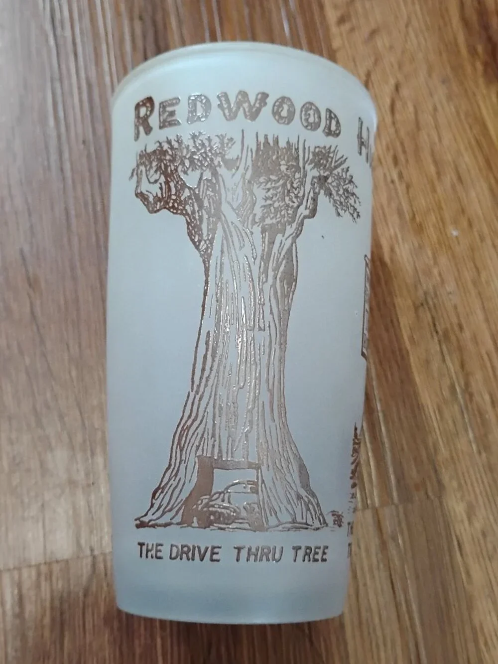 Vintage Redwood California Drive-Thru Tree Highway 101 Frosted Glass